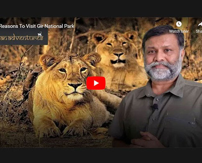 GIR national Park